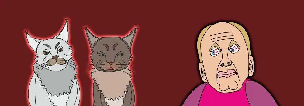 Katzenphobie - Die Angst vor Katzen
