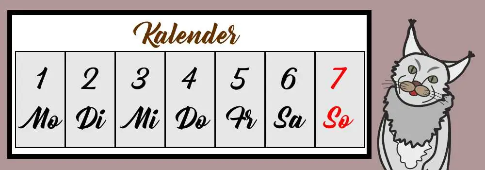 Katzenfeiertage aus aller Welt-Ein Katzensprung durch den Kalender