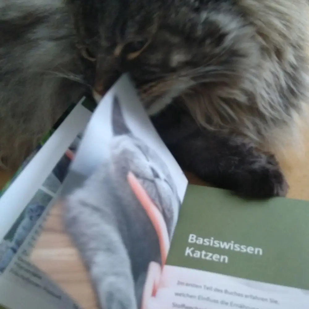 Katze mit Buch "Grüne Hausapoteke für Katzen"
