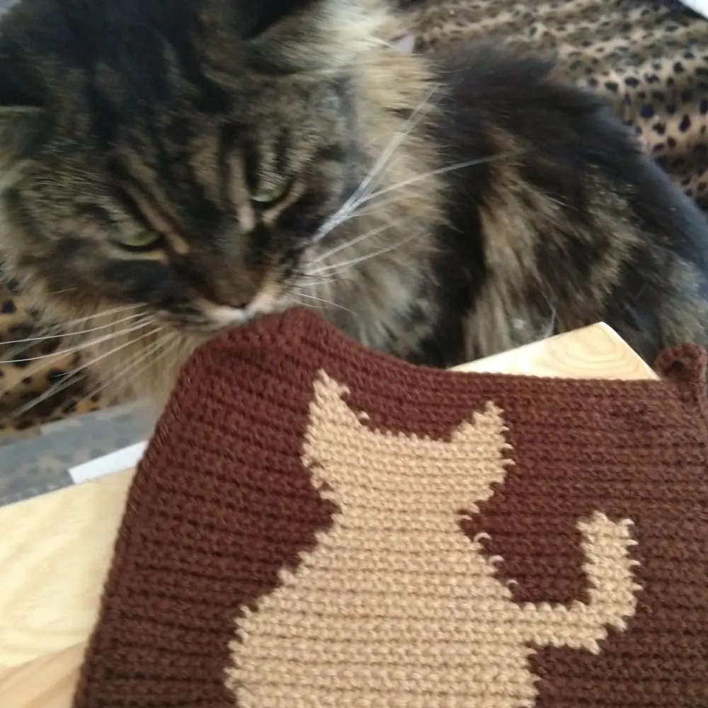 Katze mit gehäkeltem Topflappen