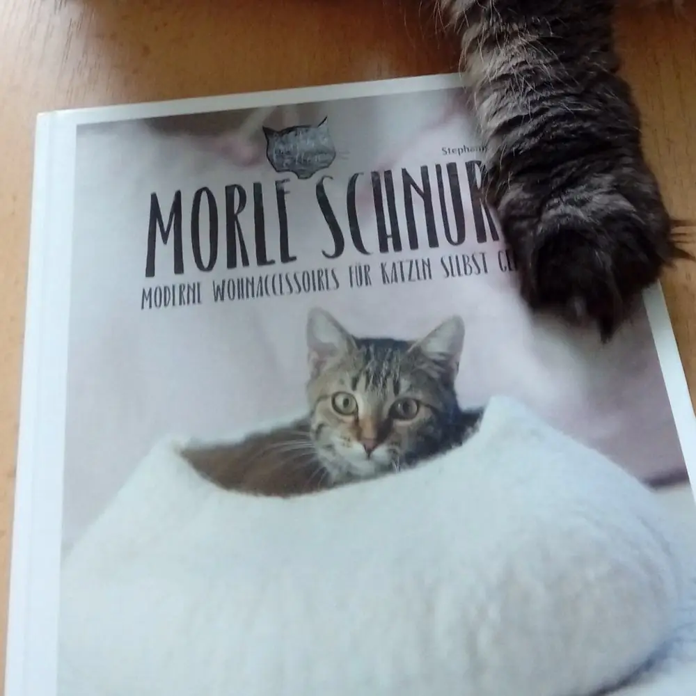 Katzenpfote auf Buch