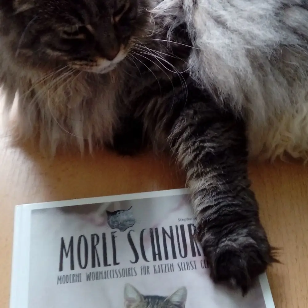 Katze mit Buch "Morle schnurrt"