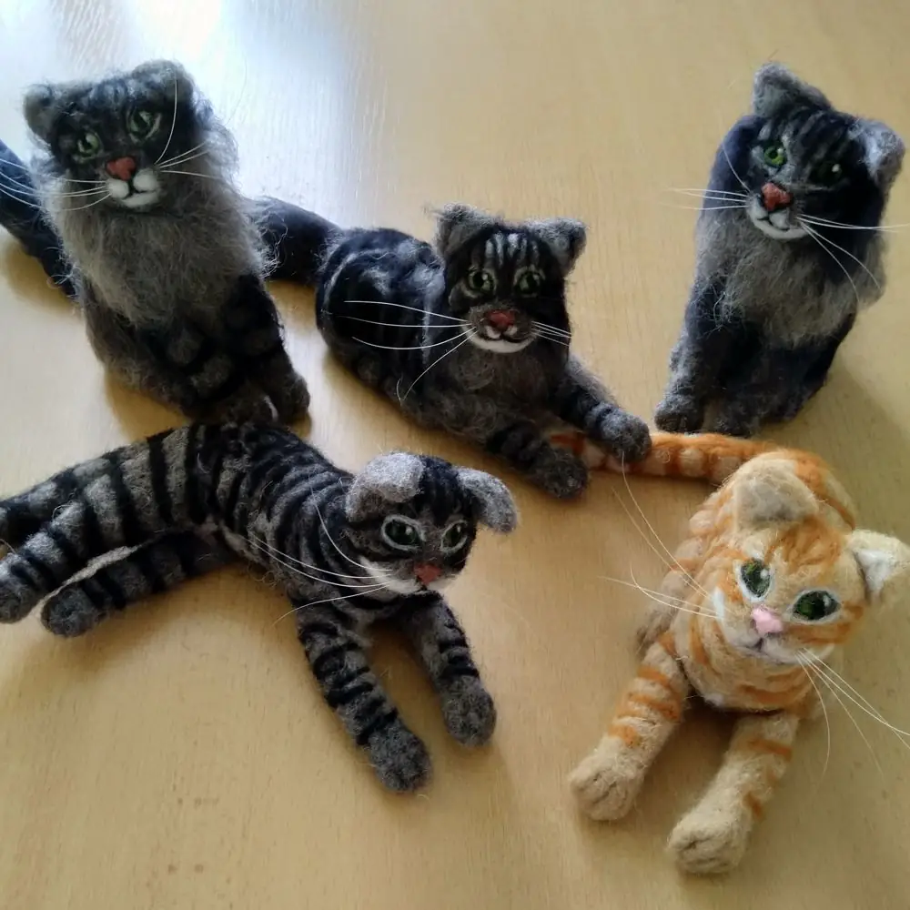 Filz-Zwillinge von Katzen von Trixis-Filz-Zwilling