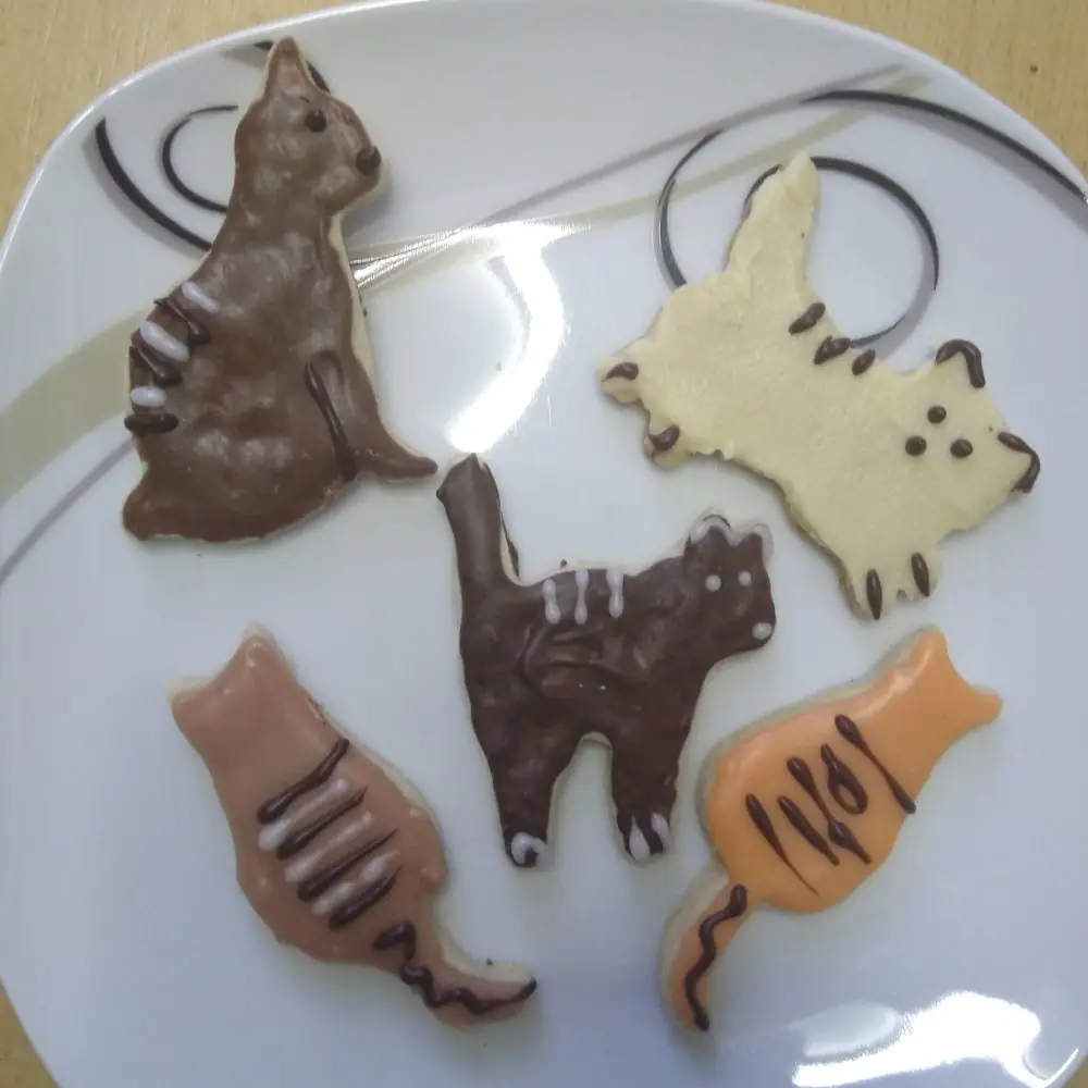 Kekse in Katzenform mit Schokolade und Zuckerguss